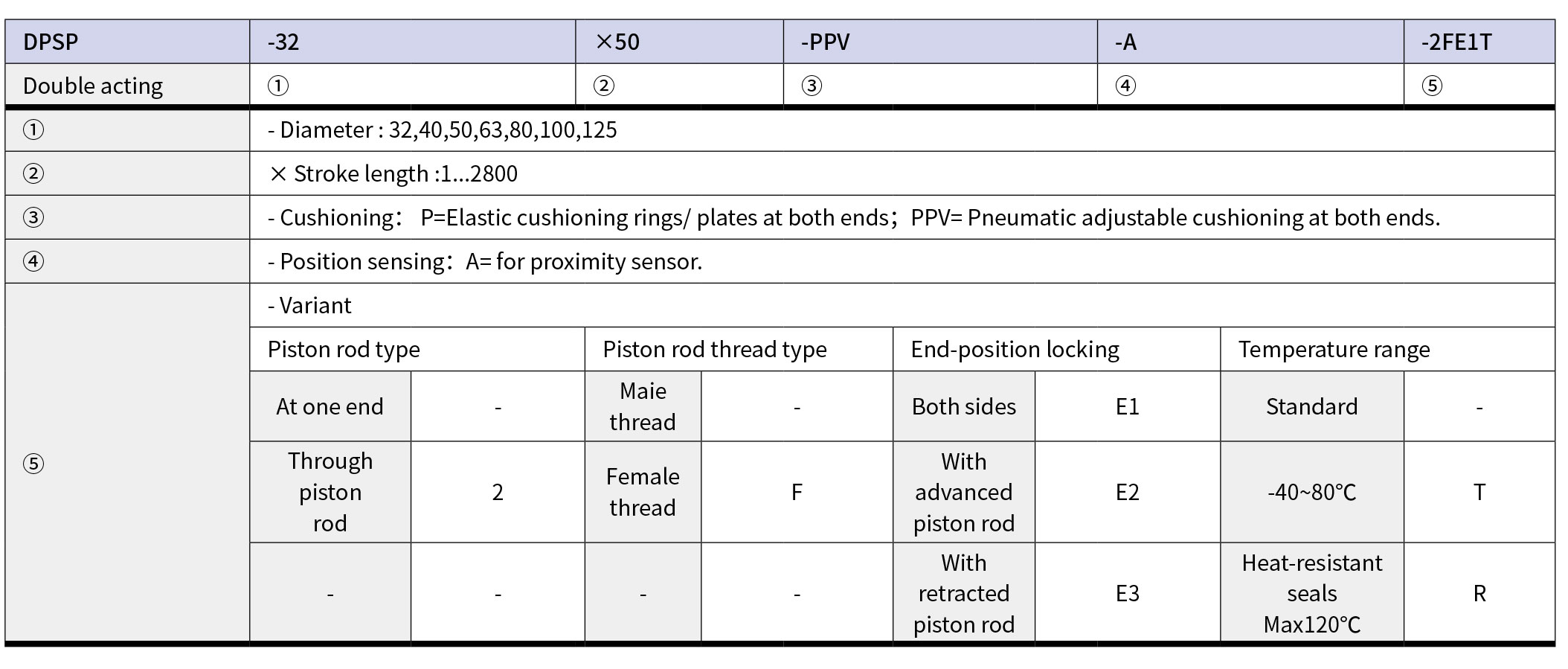 DPSP-1_07.jpg